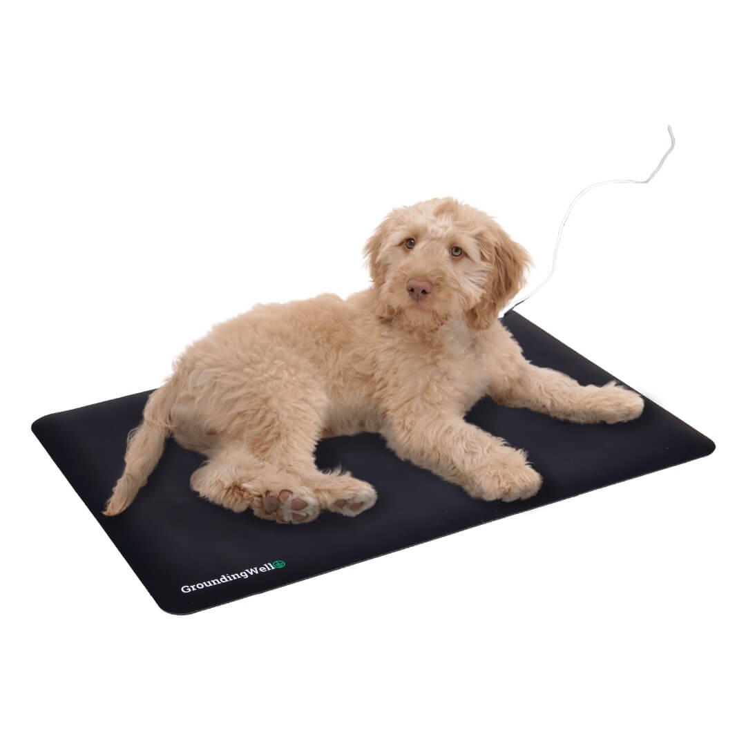 grounding mat for pets